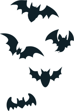bats